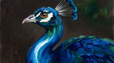 Peacock Portrait Close Up Oil Painting Canvas Wall Art