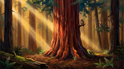 Colossal Redwood Forest Cathedral Oil Painting Canvas Wall Art