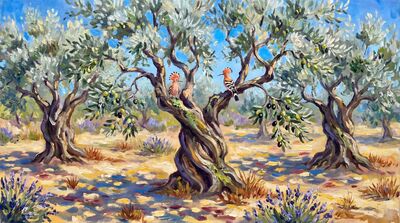 Ancient Olive Trees Provencal Light Oil Painting Canvas Wall Art