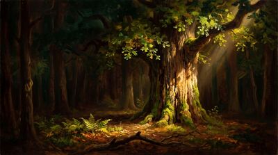 Ancient Oak Golden Light Canvas Painting