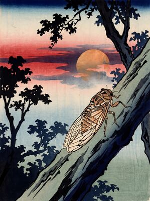 Summer Cicada Evening Canvas Painting