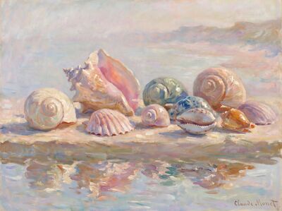 Seashell Collection Canvas Painting
