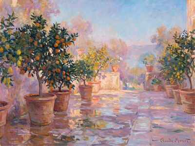 Citrus Tree Pots Canvas Wall Art