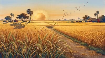 Sunrise Golden Harvest Fields Canvas Wall Art
