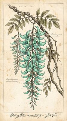 Vintage Botanical Jade Vine Cascade Canvas Painting